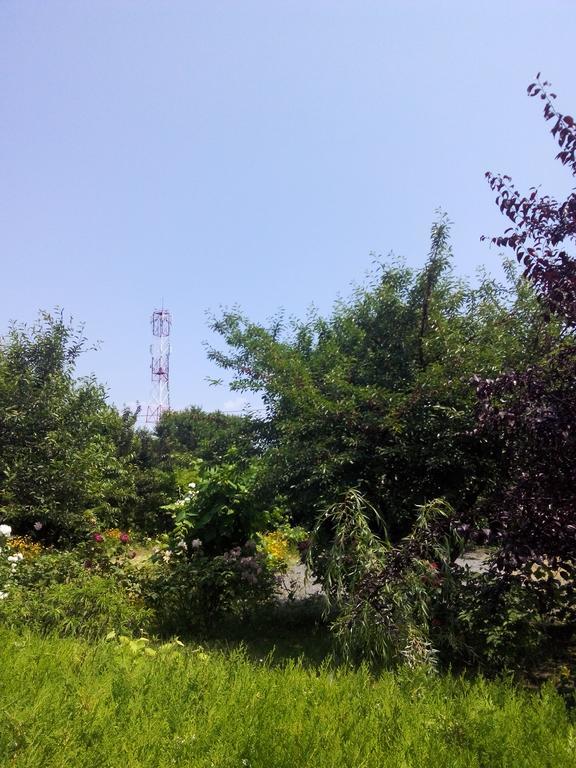 Casa Dalena Hotel Costinești Kültér fotó